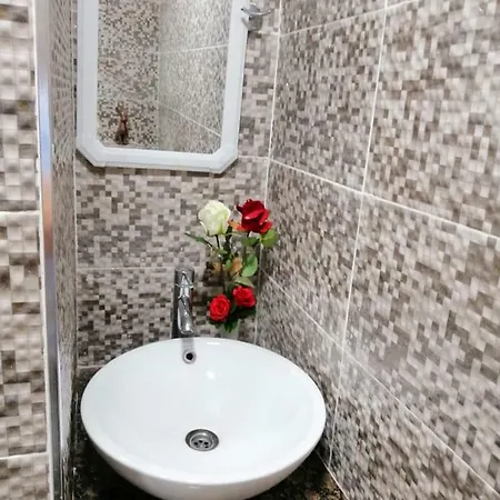 公寓 Love Apartament 阿利坎特