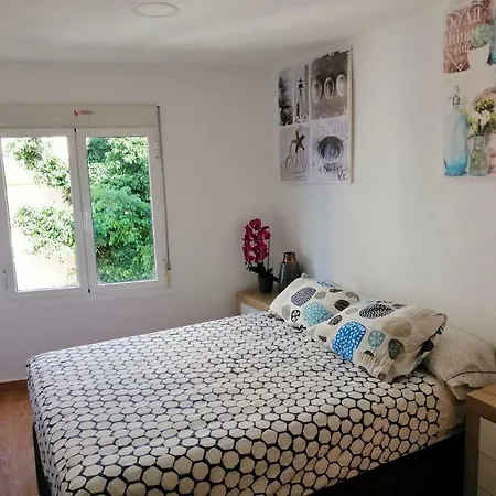 Love Apartament 阿利坎特